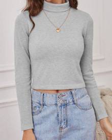 ZAFUL Turtleneck Plain Crop Knitwear