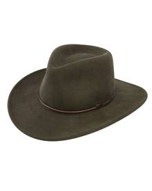 stetson expedition