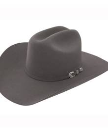 stetson 6x bar none