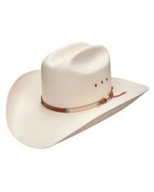 stetson 6x bar none