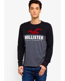 hollister long shirts