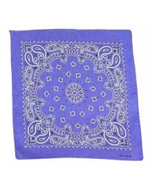 1pce Bandana 54x54cm with Bright Paisley Range with Red Border