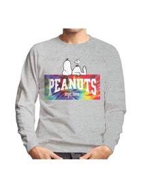 Peanuts Tie Dye Logo Men's Sweatshirt - Heather Grey