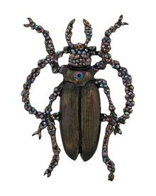 Gianfranco Ferré Pre-Owned - 2000s embellished beetle brooch - women - Brass - One Size - Brown Gianfranco Ferré Pre-Owned - 2000s embellished beetle brooch - women - Brass - One Size - Brown