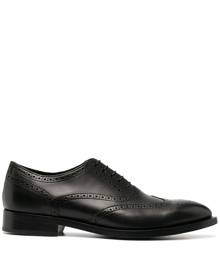 Paul Smith - lace-up brogues - men - Calf Leather/Leather - 6, 7, 8, 9, 10, 11 - Black