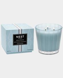 NEST New York 21.1 oz. Driftwood & Chamomile 3-Wick Candle