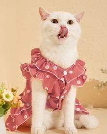 Polka Dot Pattern Pet Dress