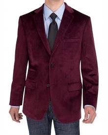 Salvatore Mens Purple Size 38 Regular Velvet Knit Blazer Jacket