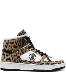 Roberto Cavalli logo-plaque leather sneakers - Brown