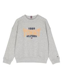 Tommy hilfiger brooks on sale logo print hoodie