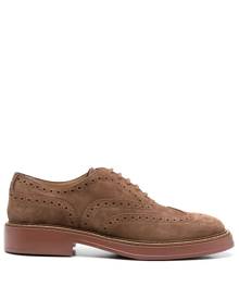 Tod's lace-up suede brogues - Brown