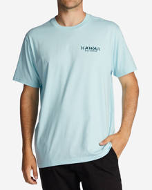 Billabong Hawaii Lookout T-Shirt for Men Blue