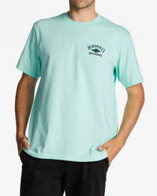 Billabong Hawaii Arch T-Shirt for Men Green